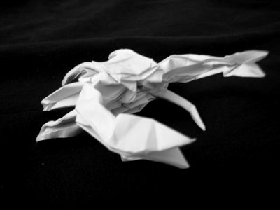 Origami_Gallery/Old/Spider Crab_1.jpg